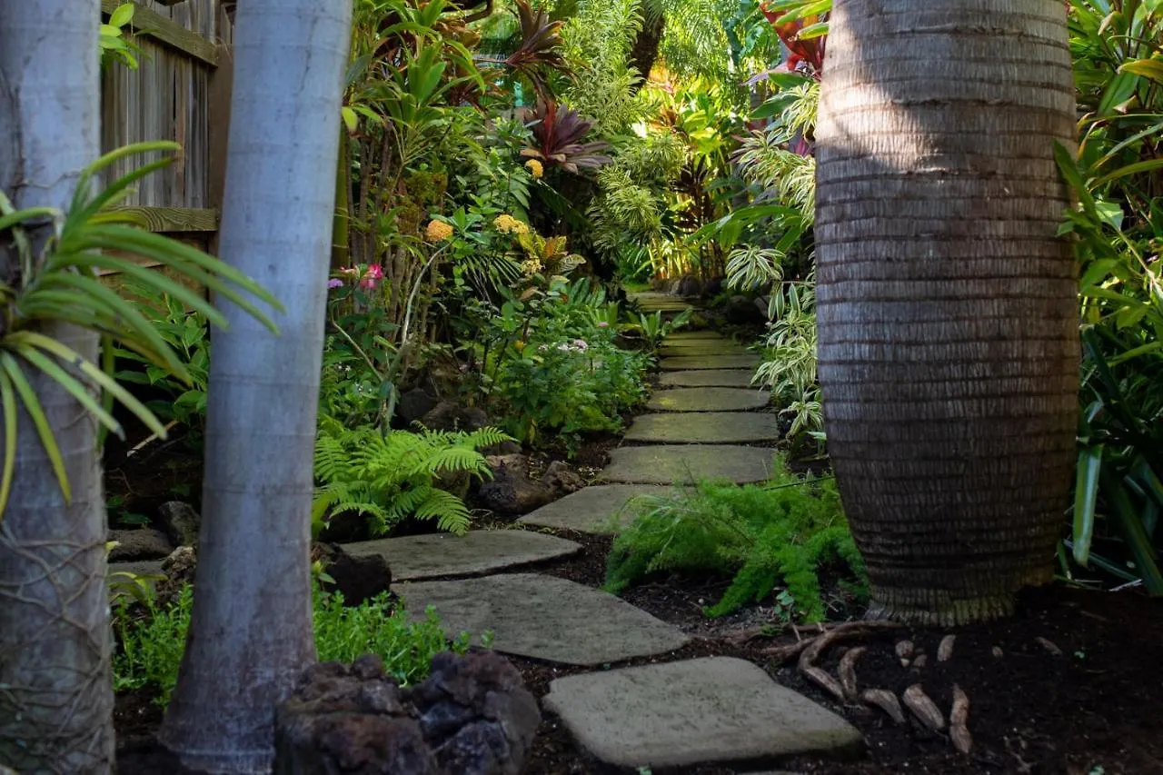 The Kulani Maui