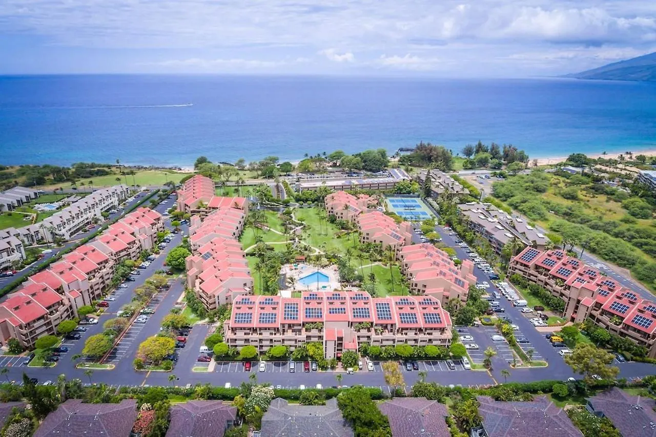 King Suite: Walk To Beach, Pool Daire