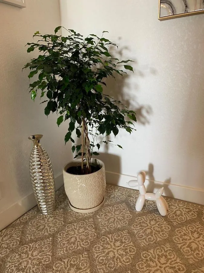 Lägenhet 1bd With Ocean Views: 40% Off, Self Check-in Kihei