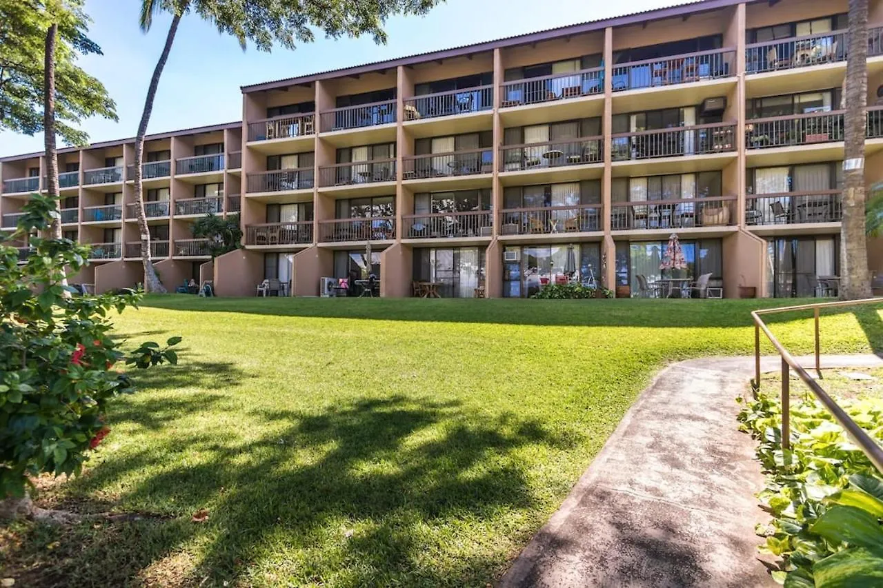 1bd With Ocean Views: 40% Off, Self Check-in Lägenhet