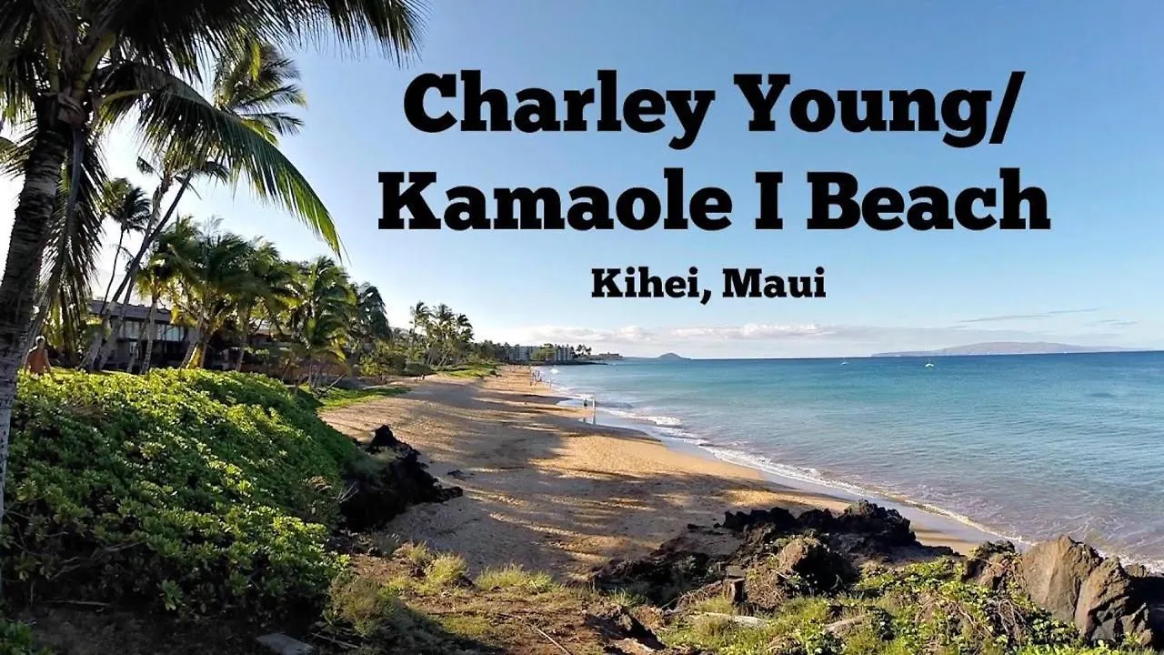 1bd With Ocean Views: 40% Off, Self Check-in Kihei
