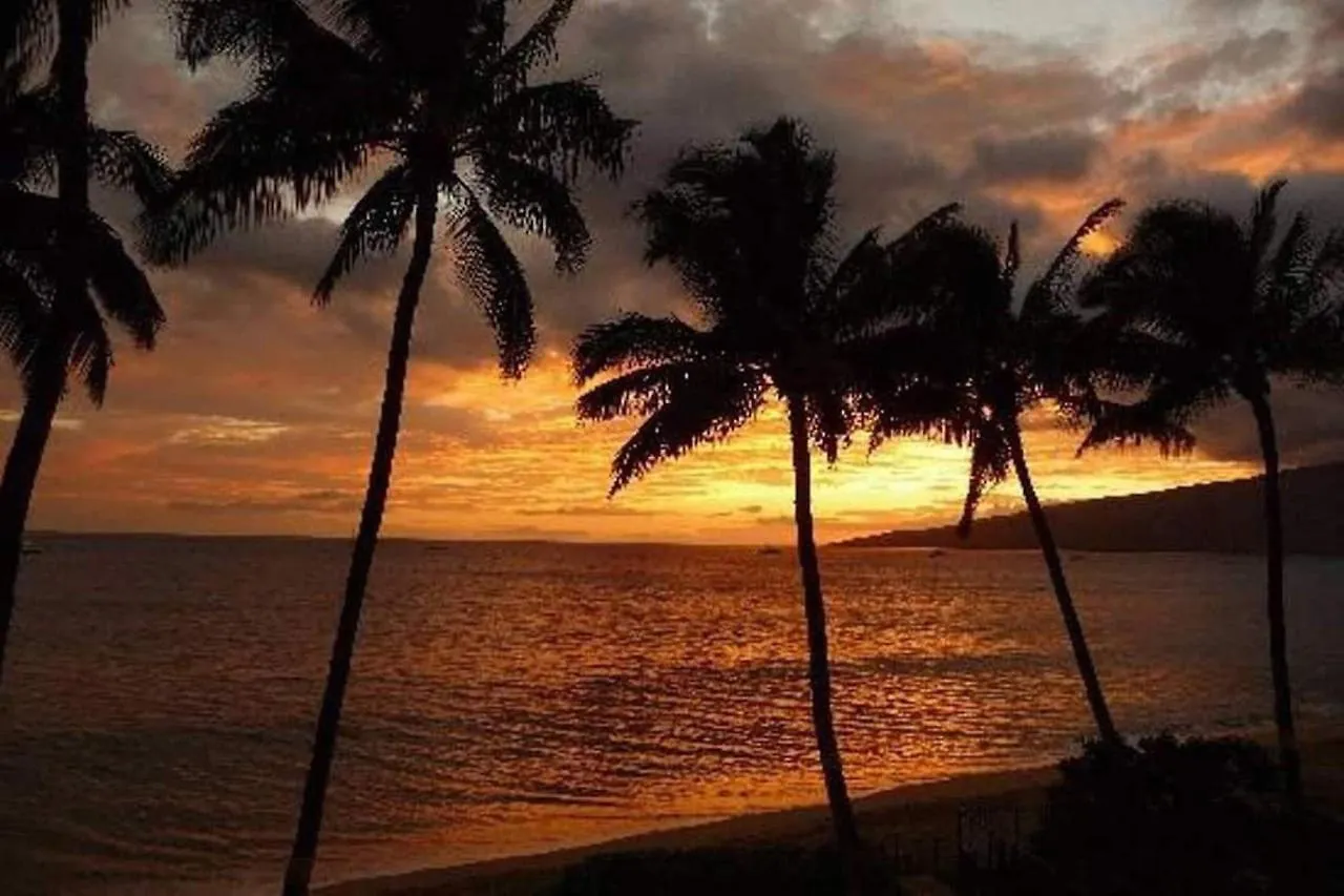 Daire King Suite: Walk To Beach, Pool Wailea (Maui)