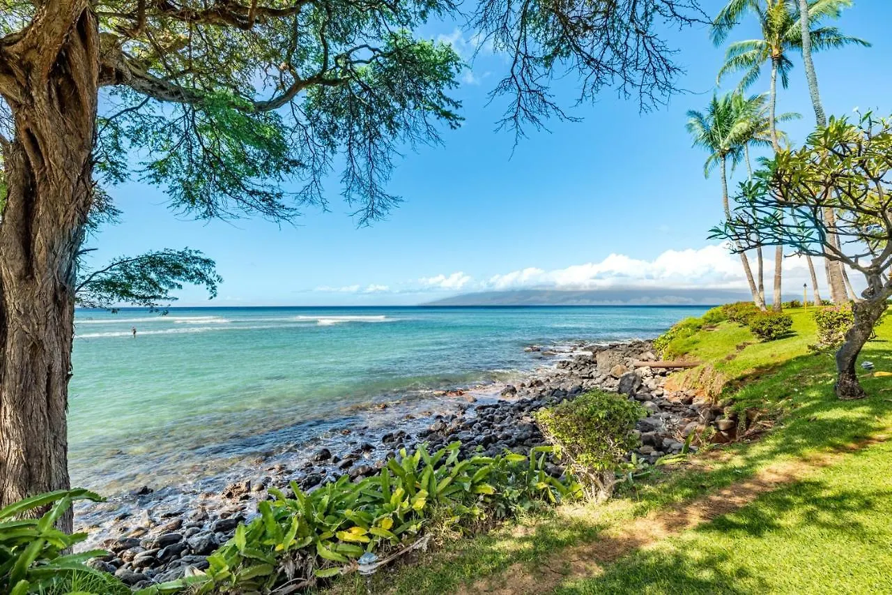 Kuleana 706 Lejlighed