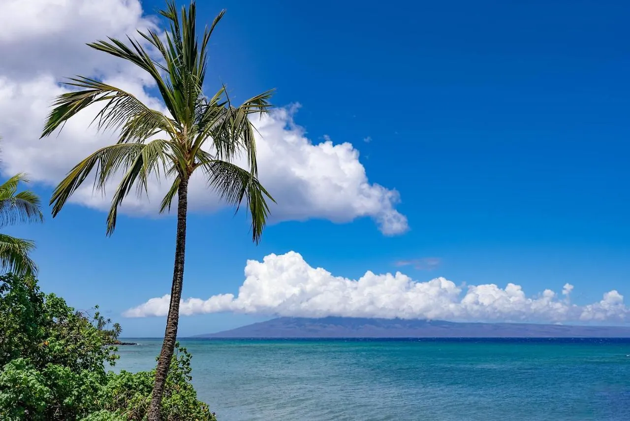 Sands Of 315 2bd 2ba Oceanfront *