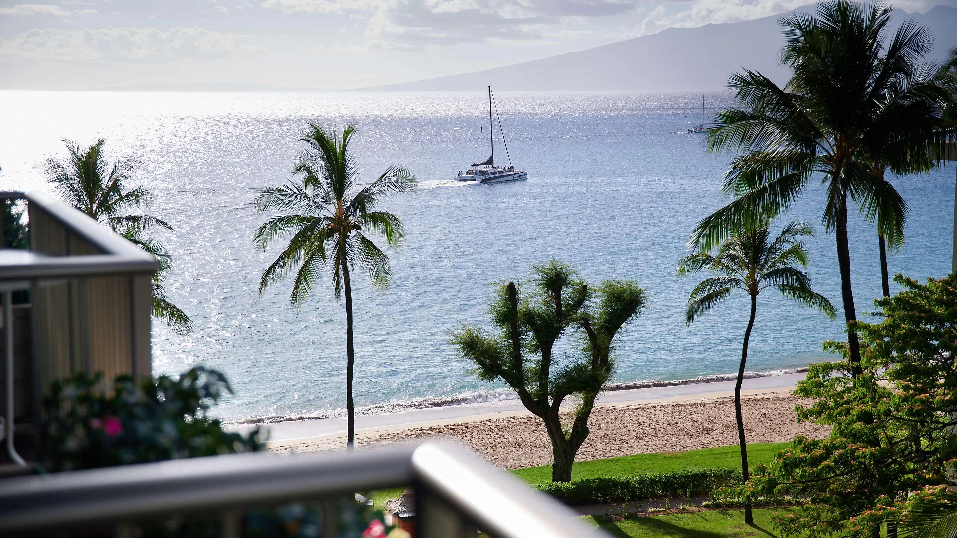 Aston At The Whaler On Kaanapali