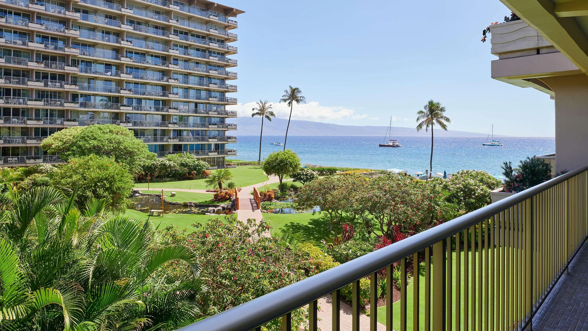 Aston At The Whaler On Kaanapali Lahaina