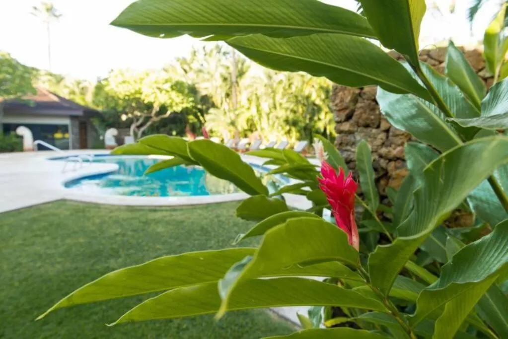 דירה Gorgeous 2 Blocks From The Heart Of Maui *