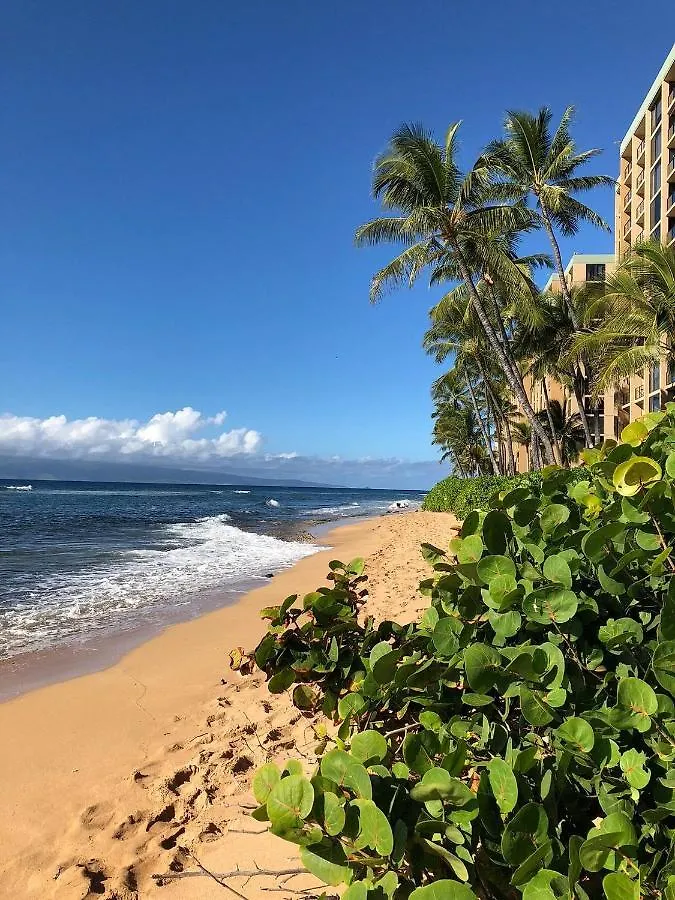 Maui Westside Presents: Mahana 1003