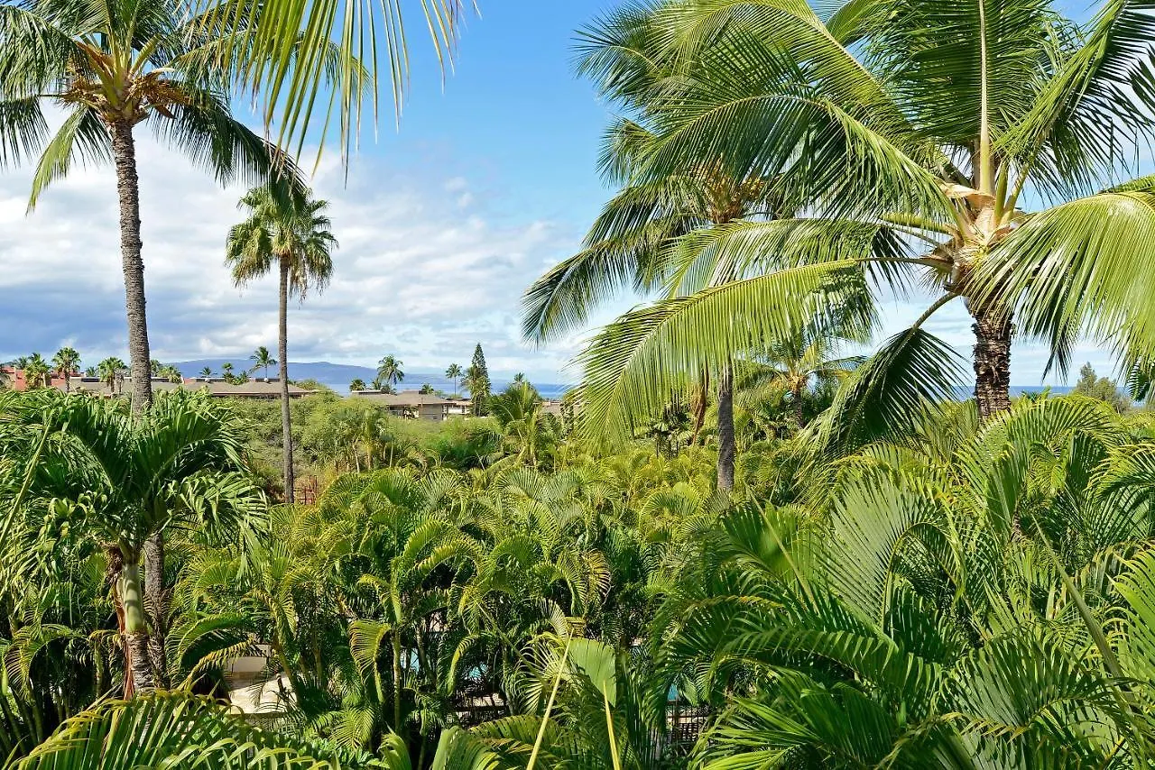 Maui Banyan T-305a * Wailea (Maui)