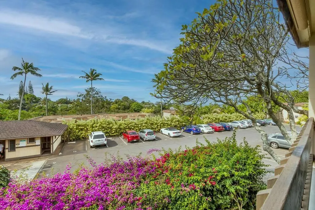 Perfect In Kapalua With Ocean View Unit A18 דירה *
