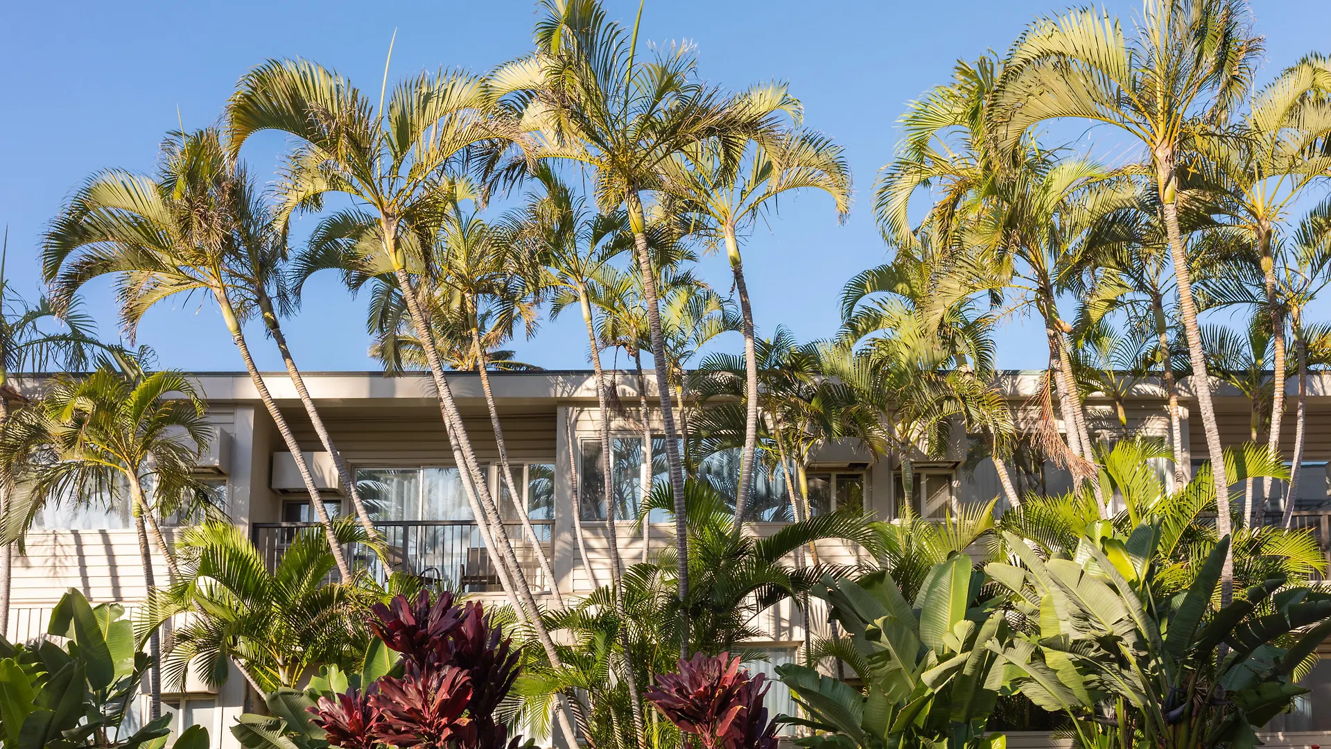 Hotel Maui 3*