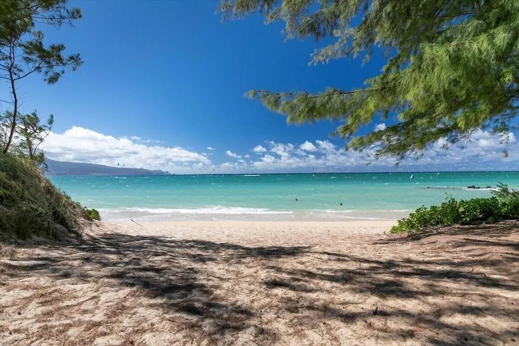 Apartment Unit 3 Maui Ohana Modern