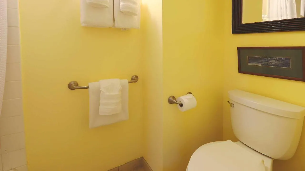 公寓式酒店 Papakea K303 2bed/2bath Stunning Ocean & Pool Views 3*