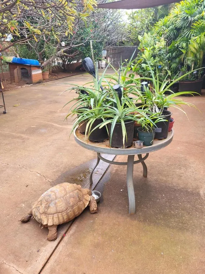 The Hale Critter Refuge Homestay