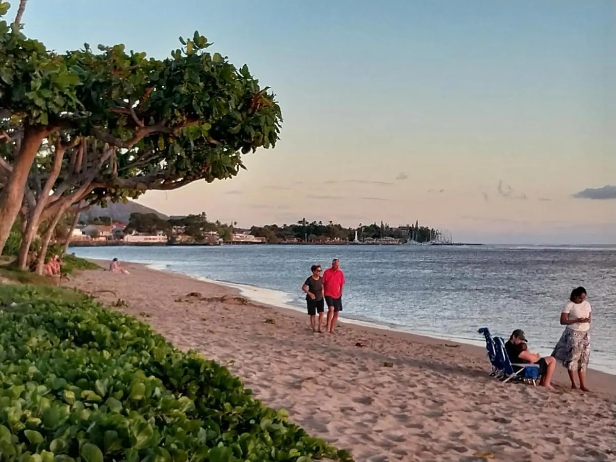Homestay The Hale Critter Refuge Lahaina
