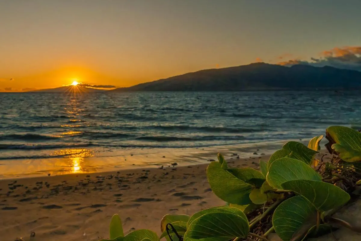 아파트 Maui Sunset B-115
