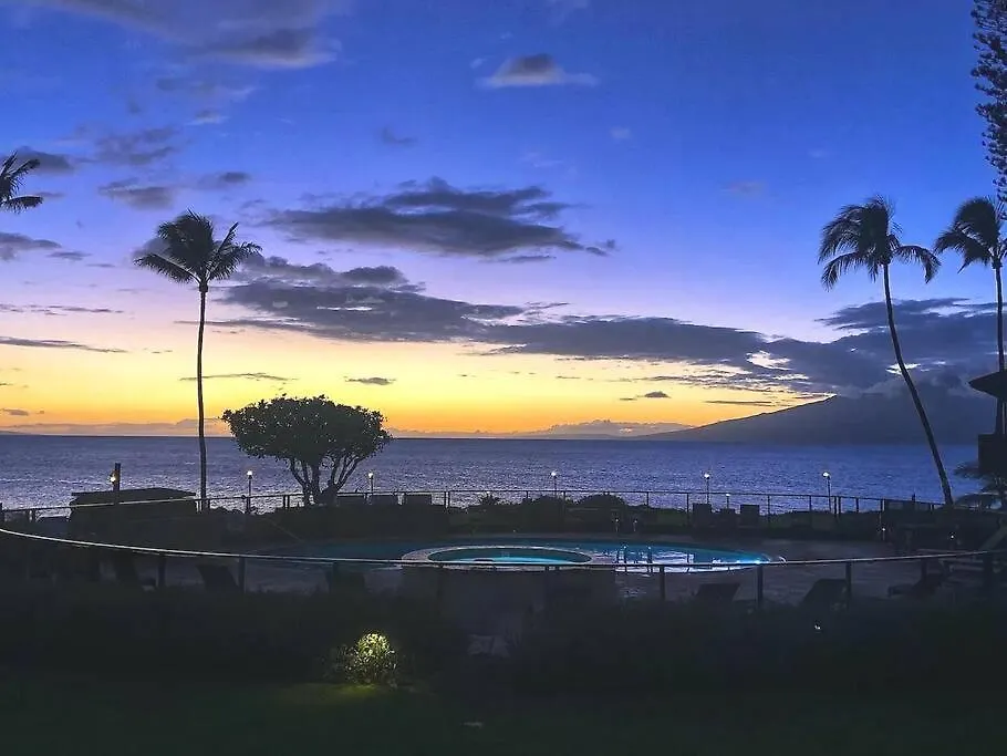Oceanside-spectacular View And Poolside Oasis