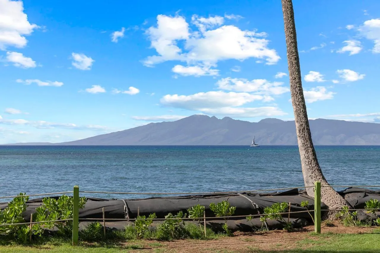 Incredible Beachfront 1br - Sleeps 4 Awesome Location And In The Center Of Restaurants Many Beaches Golf And More