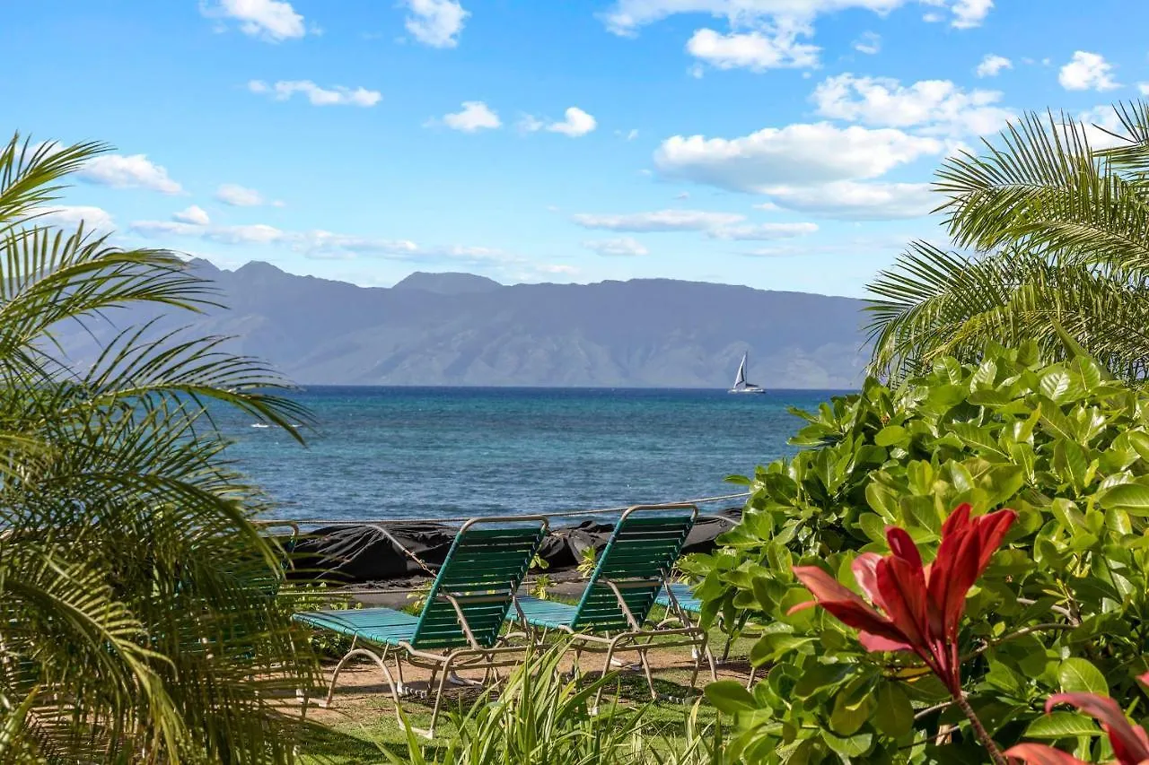 Incredible Beachfront 1br - Sleeps 4 Awesome Location And In The Center Of Restaurants Many Beaches Golf And More