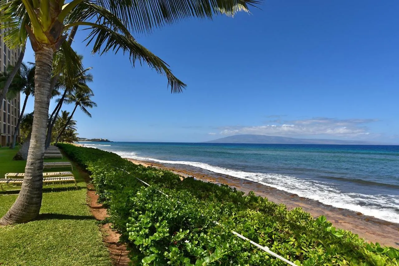 Mahana #1103 Kahana