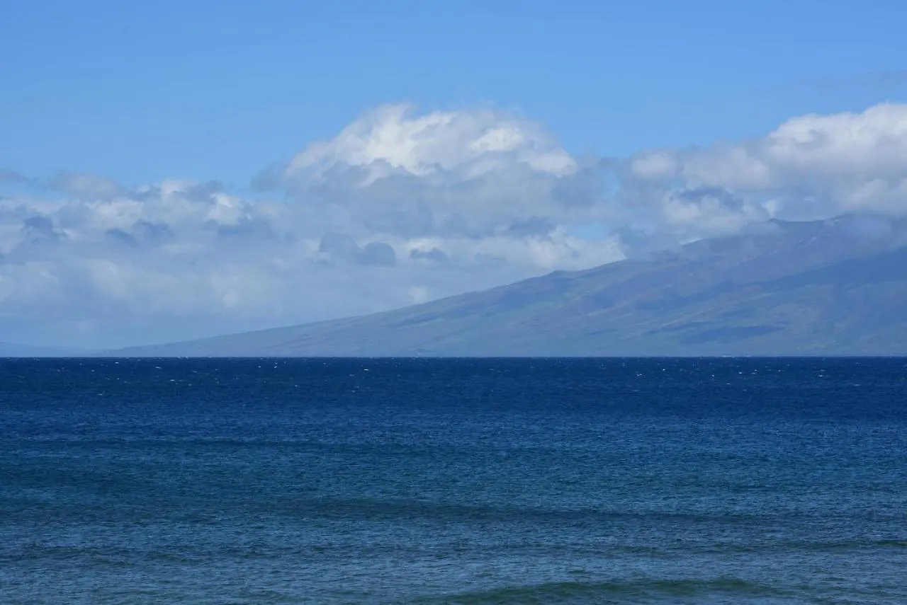 Mahana #1103