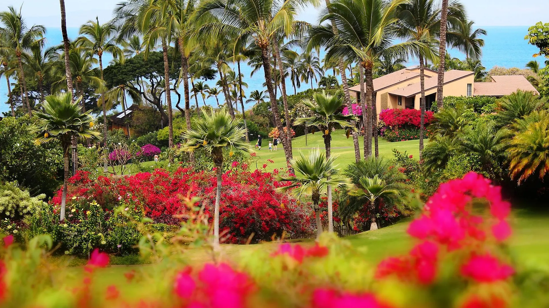Resort Wailea Ekahi Village - Coraltree Collection