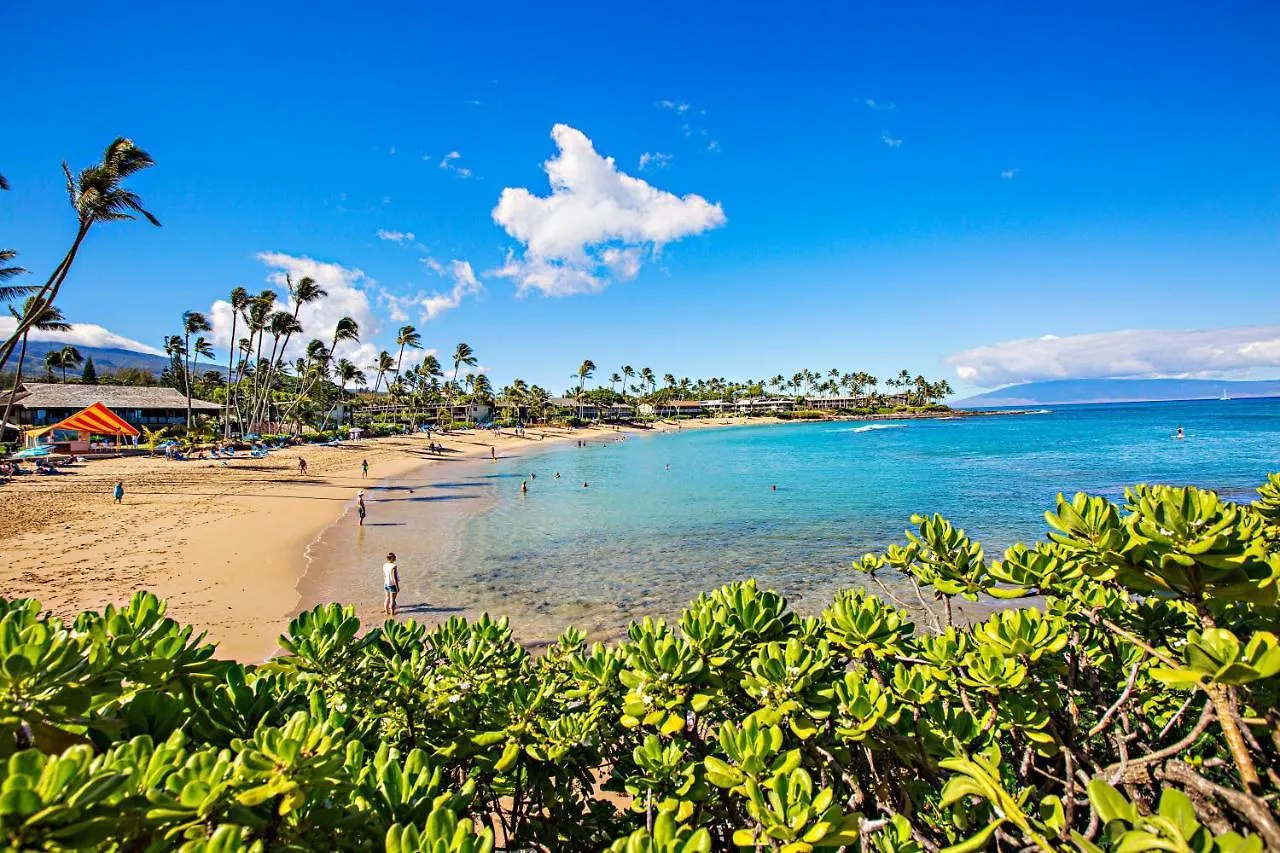 Napili Shores E244 Kahana