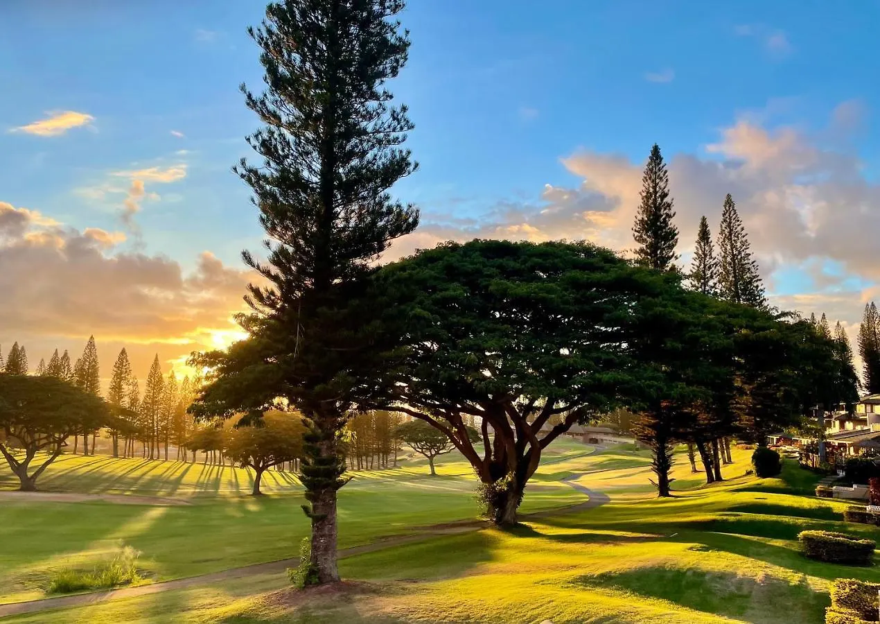 Kapalua Golf 15t 7&8 卡哈纳
