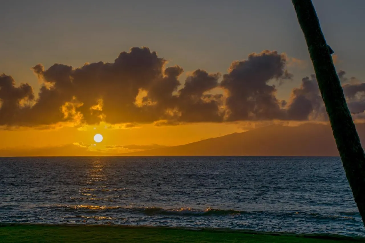 Papakea E406 Kahana