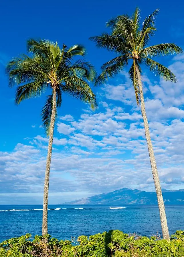 펜션 Kapalua Golf 15t 2 Kahana