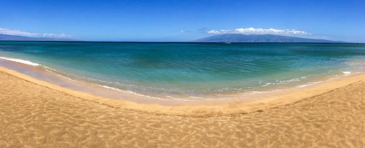 Noelani 107