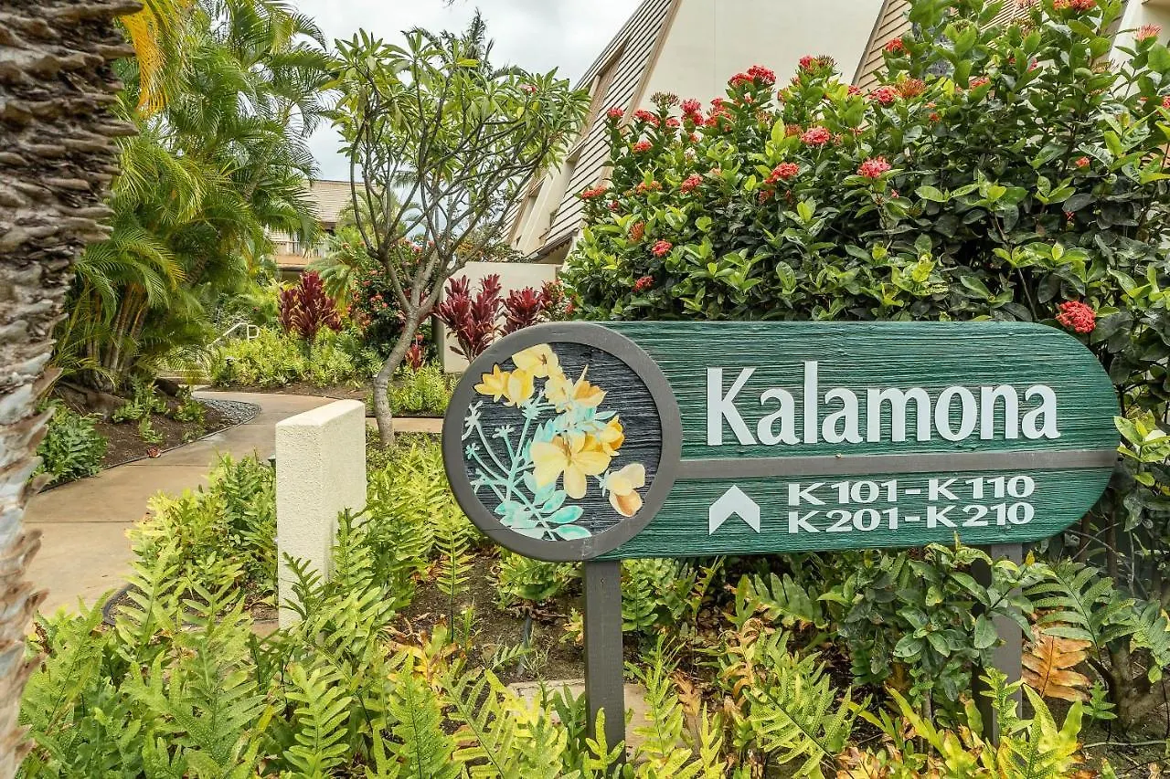 Maui Kamaole K-208