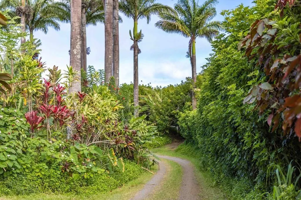 Waterfall House With Ocean Views In Haiku, Maui Villa *