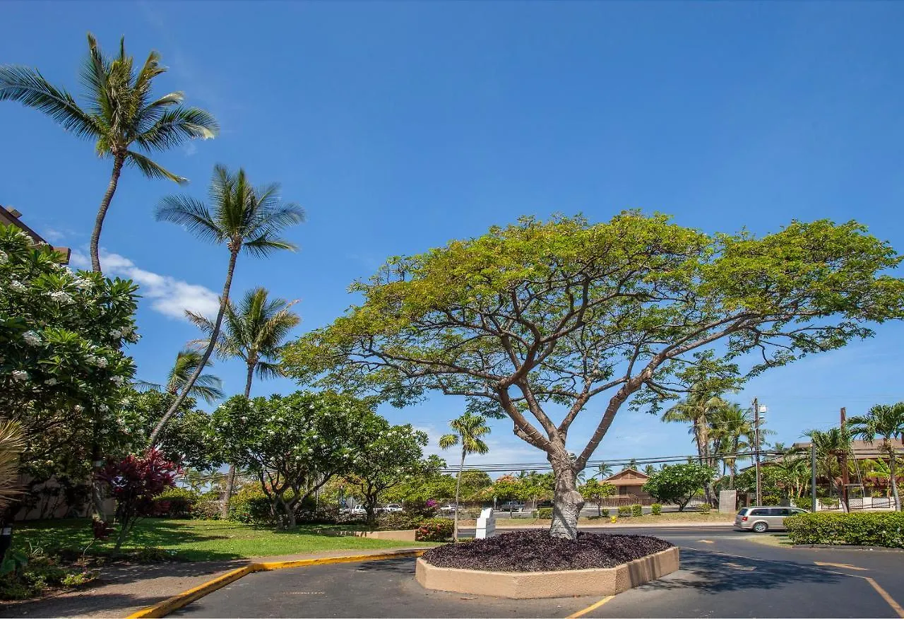 Maui Vista 1317 - Mch Kihei