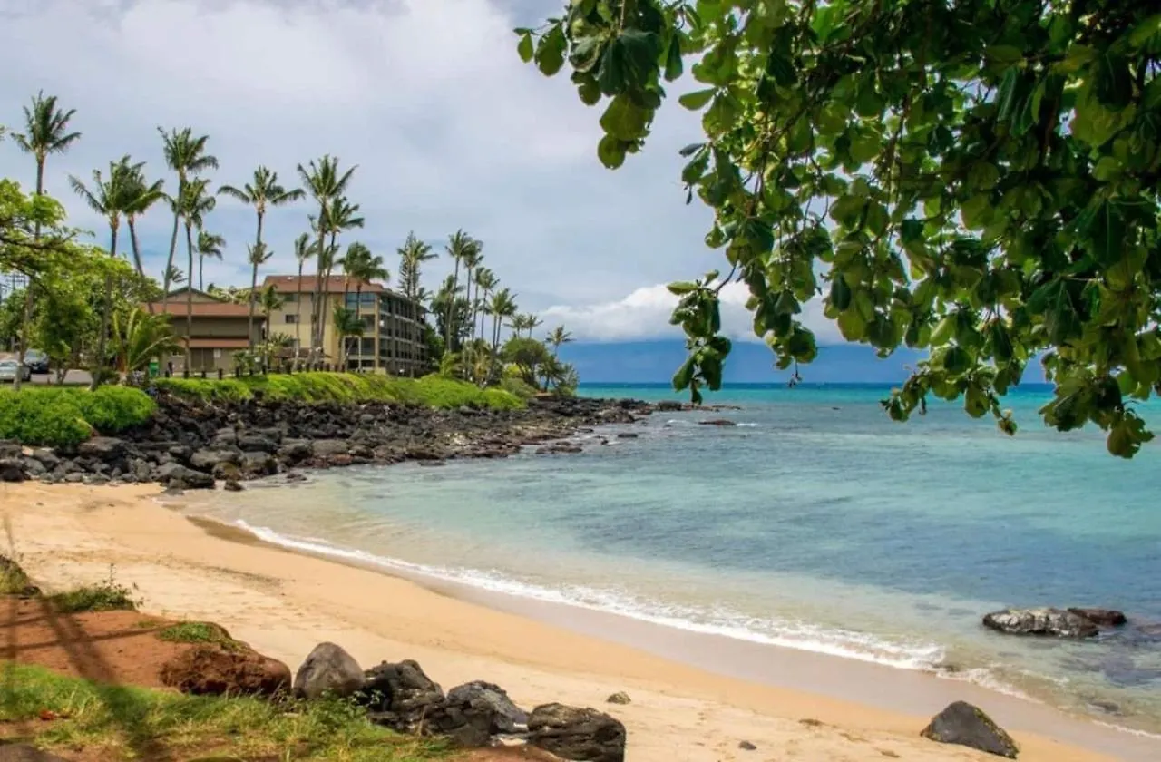 Aparthotel Hale Mai Hopohopo