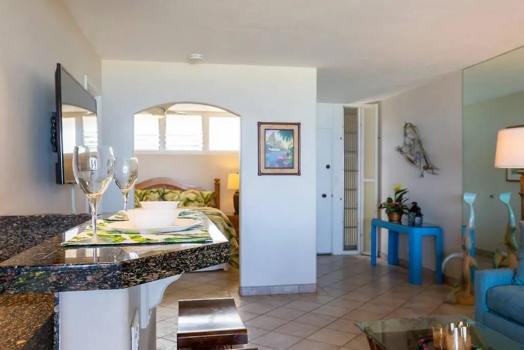 Hale Ono Loa 316- Upgraded Hale Ono Loa Condo, Expansive Ocean Views *