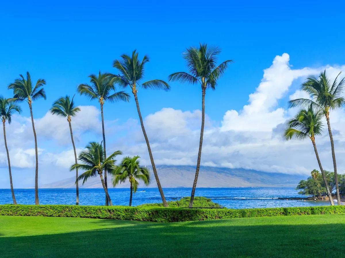 Maui Banyan T-305a * Wailea (Maui)