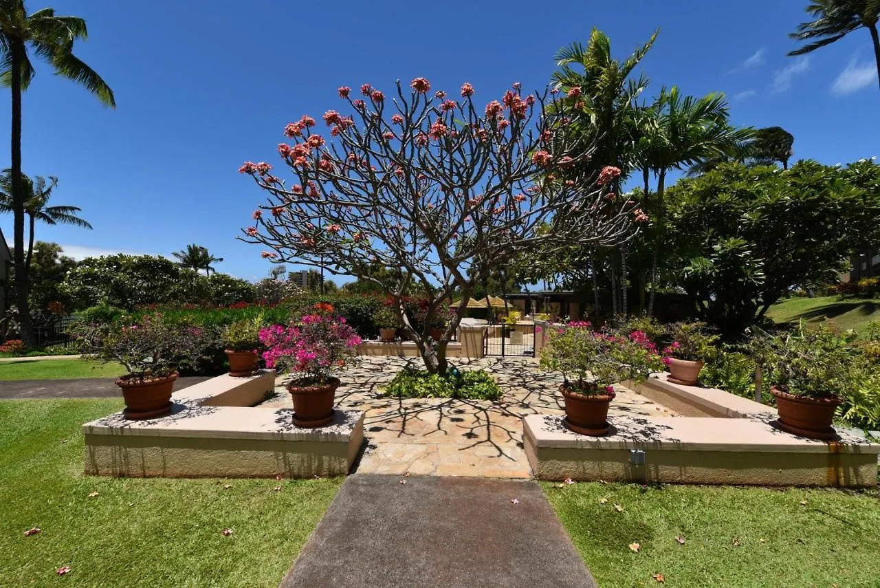 Tatil Evi Kaanapali Royal N102 *