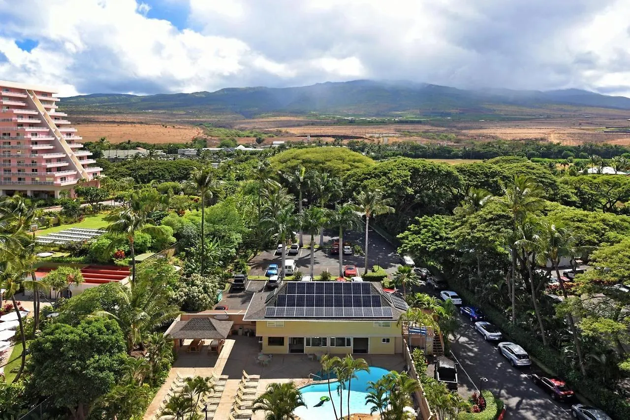 Maui Kai 308
