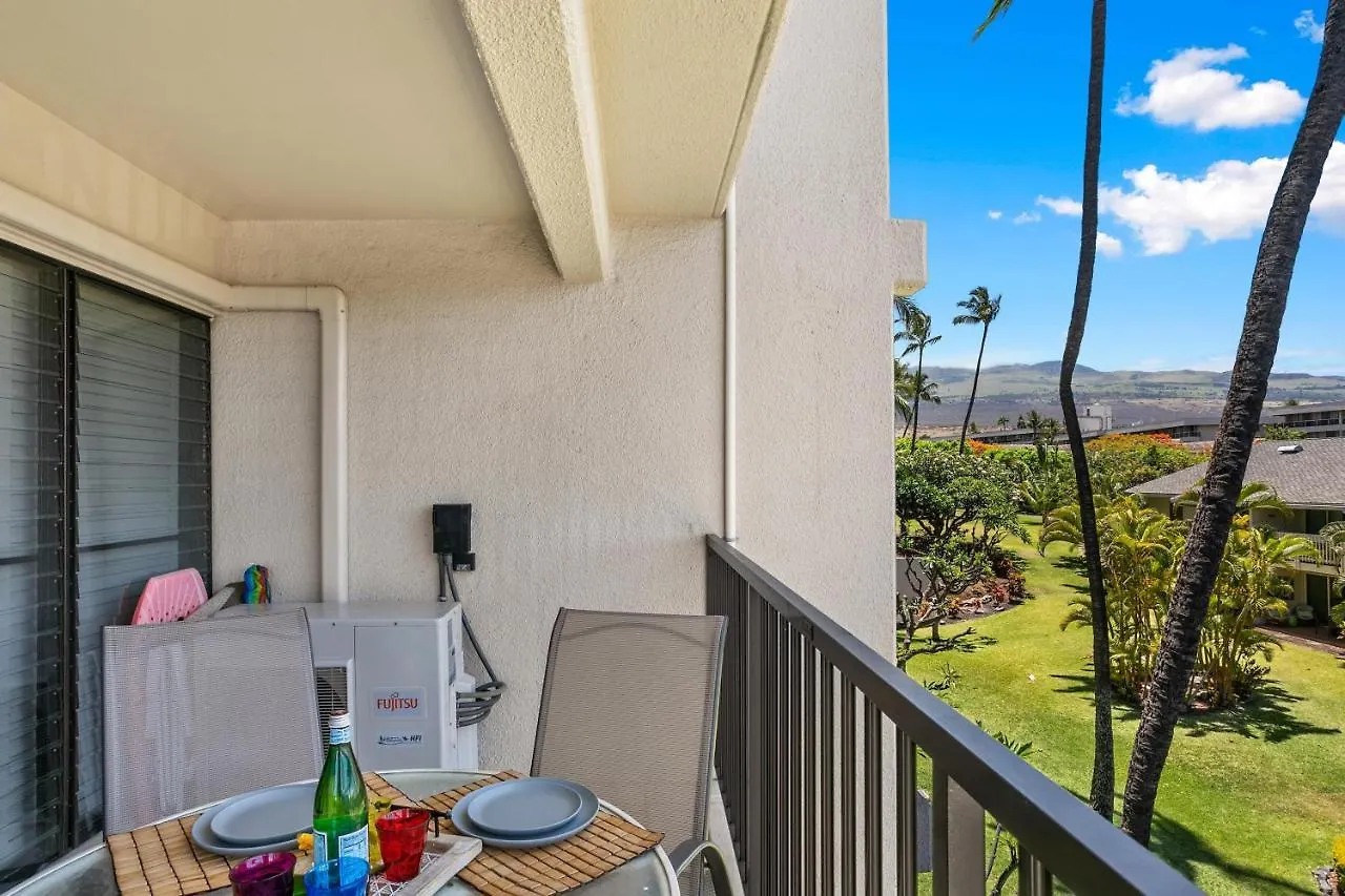Kihei Akahi C302 *