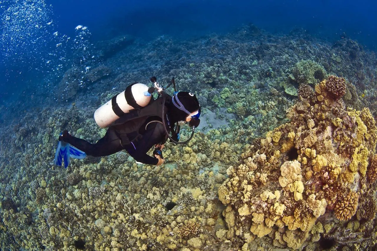 Napili Point A9 *