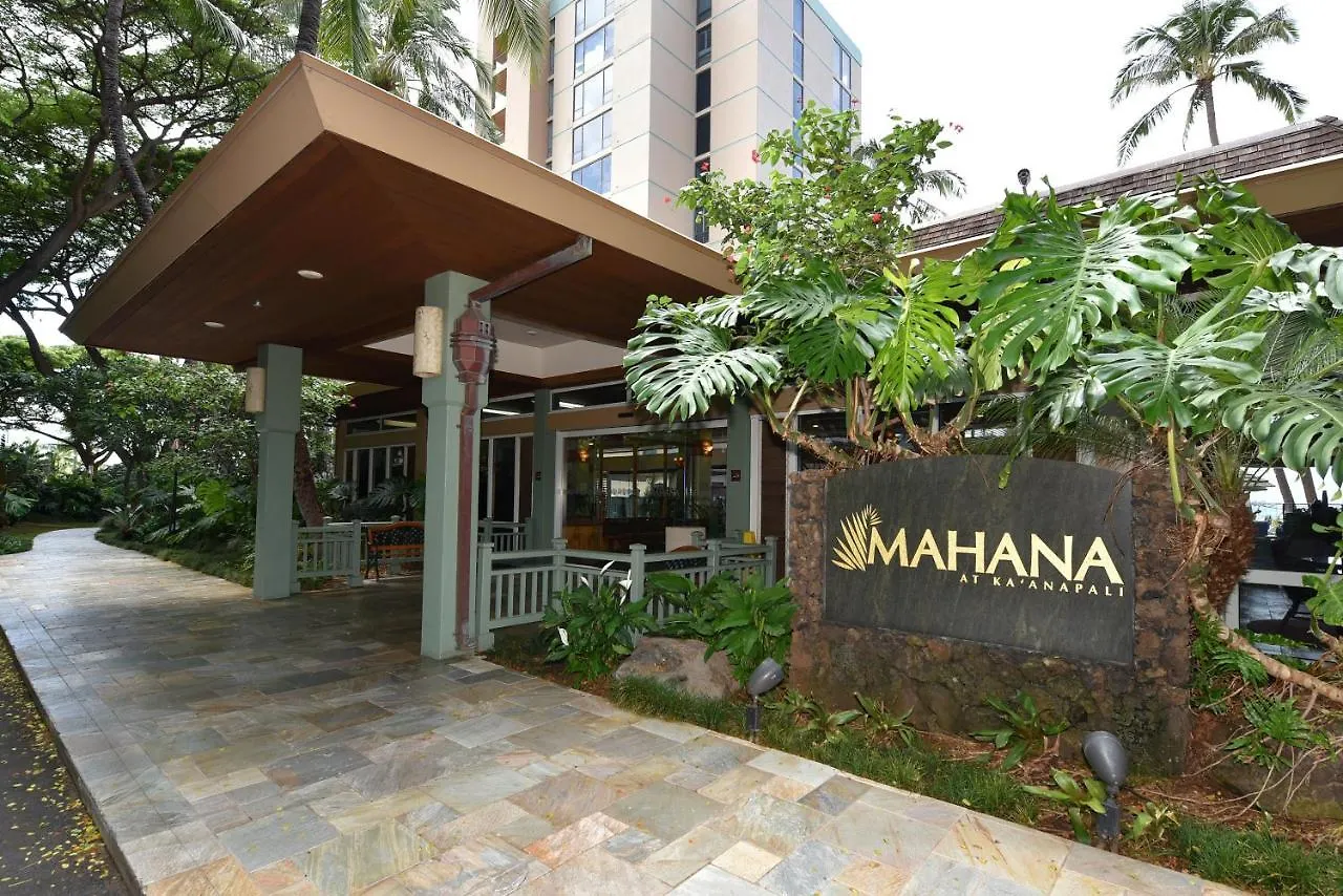 Mahana 1113 *