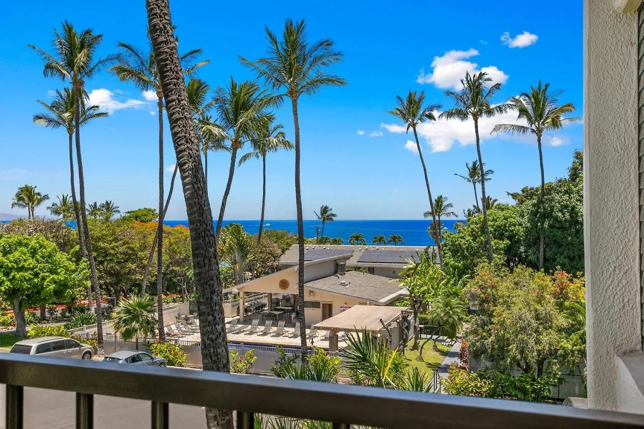 Kihei Akahi C302 *
