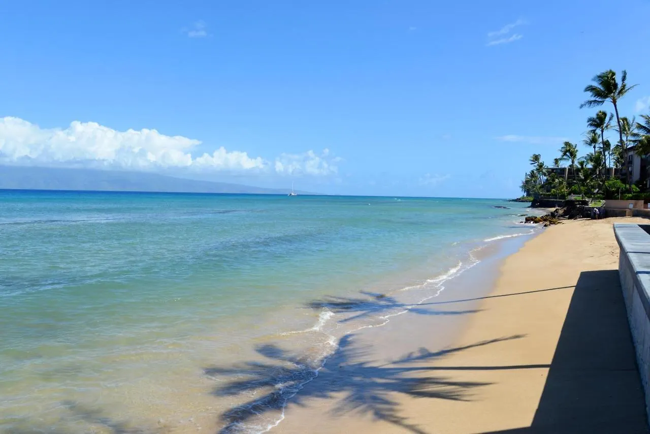 Kulakane 211 Kahana