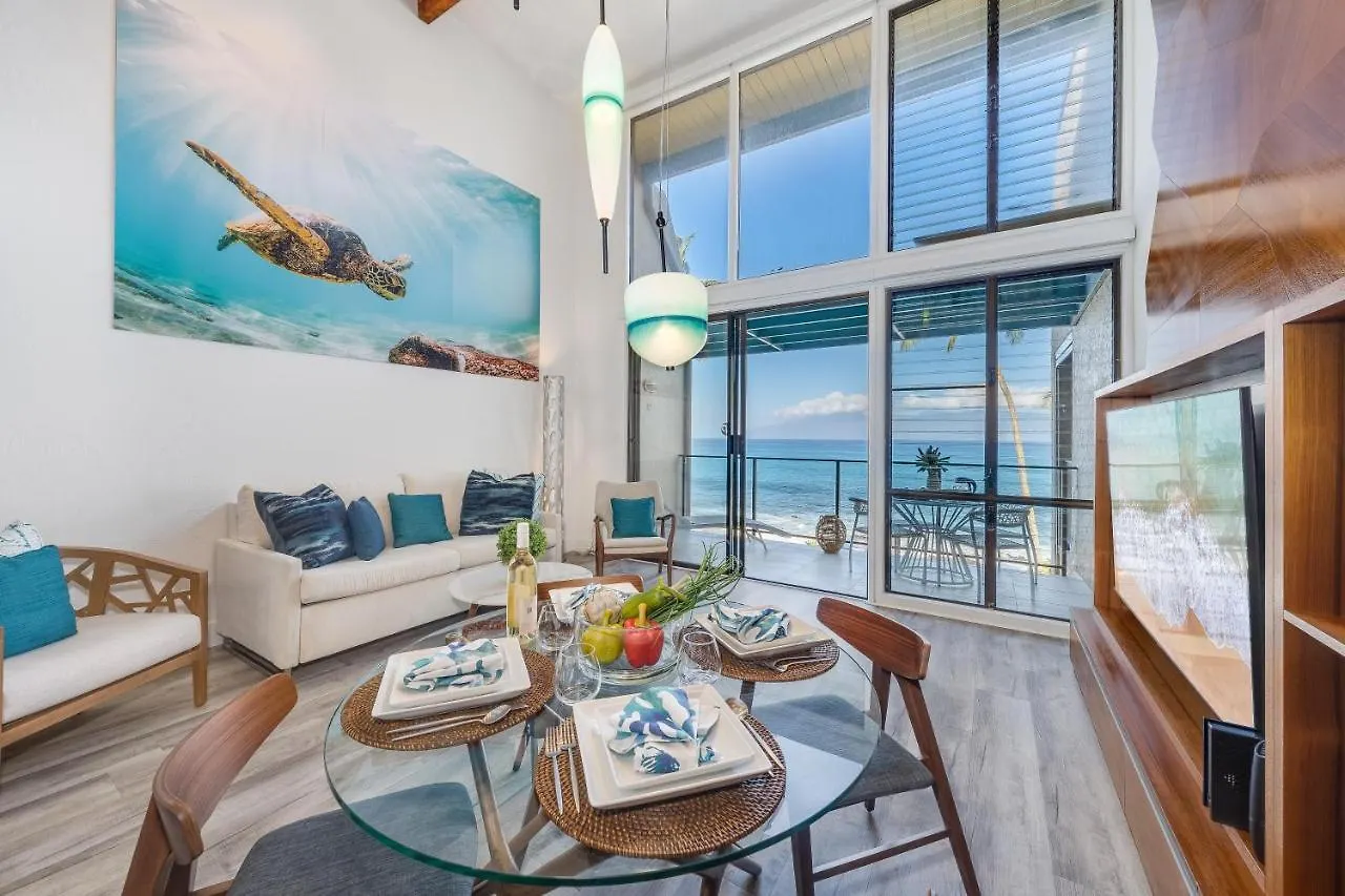 Napili Point C3 Holiday home *