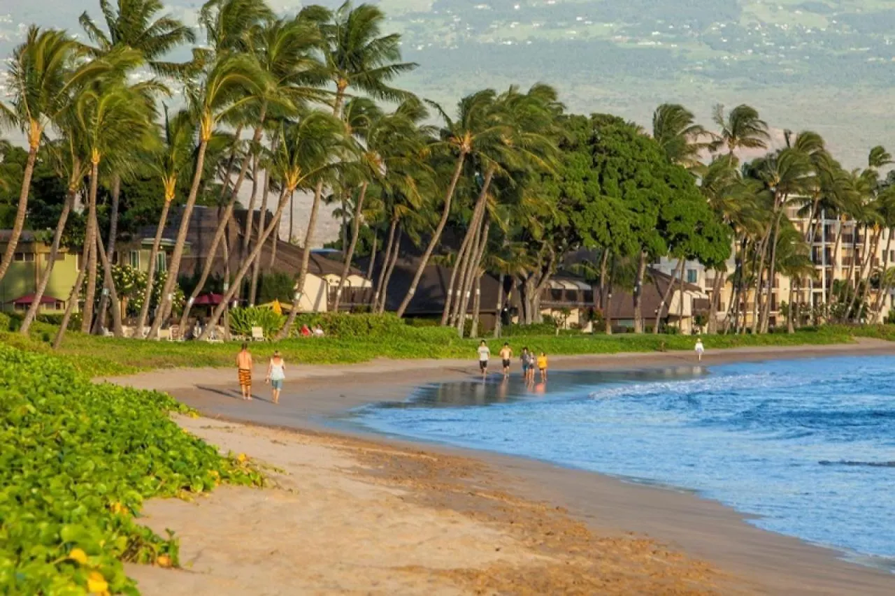 Sugar 317 - Mch Holiday home Kihei