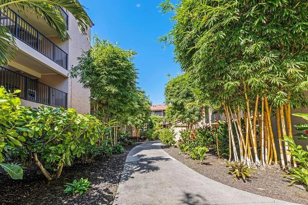 Papakea E206- Updated Papakea Oceanview Condo, The Amenities Kahana
