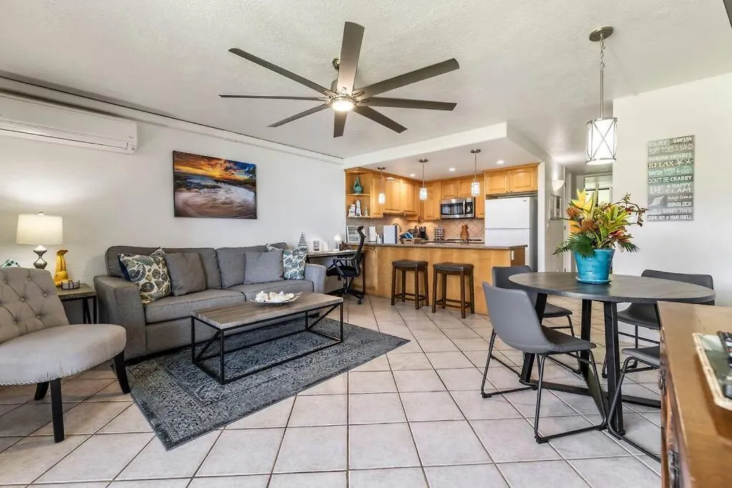 Papakea E206- Updated Papakea Oceanview Condo, The Amenities Apartment Kahana