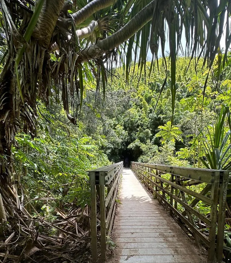 Роскошный шатер Explore Maui's Diverse And Uncover The Island's Beauty From Fresh Perspectives Every Day As You Journey With Aloha Glamp's Great Jeep Equipped With A Rooftop Tent *