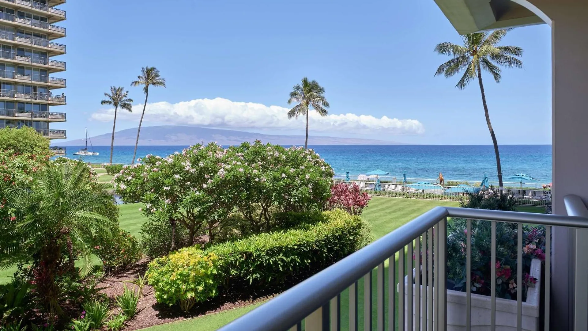 Aston At The Whaler On Kaanapali